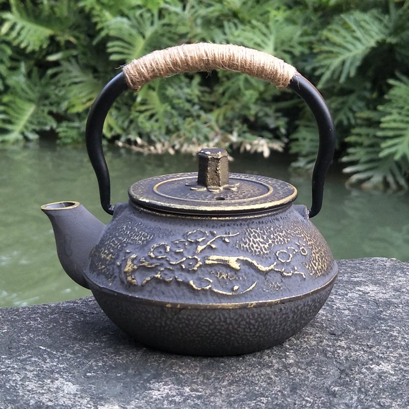 Cast Iron Teapot Japanese Tets - огляд і ціна Cast Iron Teapot